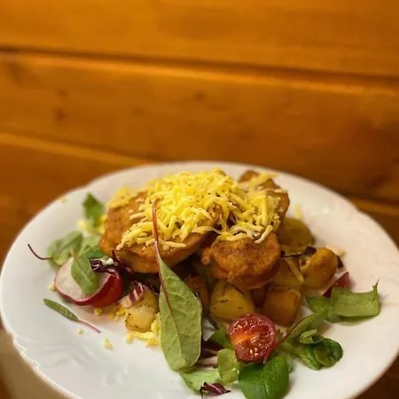 게스트하우스 Kingo Nemšová